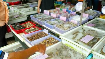 frutos do mar iguarias às a peixe mercado tailândia. exótico dentro uma tropical país, viagem e turismo. turismo e viagem conceito video