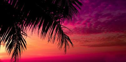 palmera en la puesta de sol de una hermosa playa tropical sobre fondo de cielo rosa como verano foto