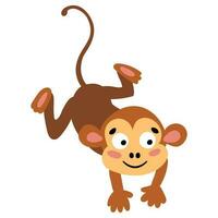 Cute hand drawn monkey. Animal safari. White background, isolate. vector