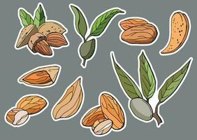 Almond sticker set. vector