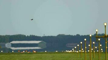 Airfield lighting with landing lights. Bird hovering over the runway video