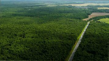 View from the airplane window to the green forest. Summer nature panorama, top view video