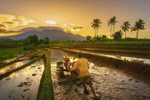 Beautiful morning view indonesia Panorama Landscape paddy fields with beauty color and sky natural light photo