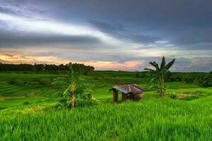 hermosa vista de la mañana indonesia panorama paisaje arrozales con color de belleza y luz natural del cielo foto