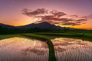 Beautiful morning view indonesia Panorama Landscape paddy fields with beauty color and sky natural light photo