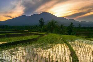 Beautiful morning view indonesia Panorama Landscape paddy fields with beauty color and sky natural light photo