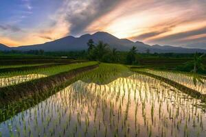 hermosa vista de la mañana indonesia panorama paisaje arrozales con color de belleza y luz natural del cielo foto