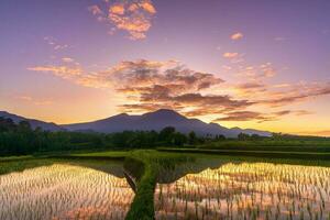 Beautiful morning view indonesia Panorama Landscape paddy fields with beauty color and sky natural light photo