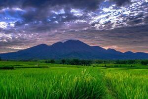 hermosa vista de la mañana indonesia panorama paisaje arrozales con color de belleza y luz natural del cielo foto