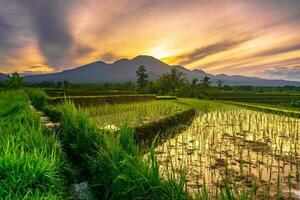 hermosa vista de la mañana indonesia panorama paisaje arrozales con color de belleza y luz natural del cielo foto