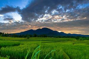 hermosa vista de la mañana indonesia panorama paisaje arrozales con color de belleza y luz natural del cielo foto