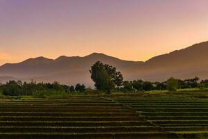 hermosa vista de la mañana indonesia panorama paisaje arrozales con color de belleza y luz natural del cielo foto