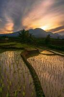 Beautiful morning view indonesia Panorama Landscape paddy fields with beauty color and sky natural light photo