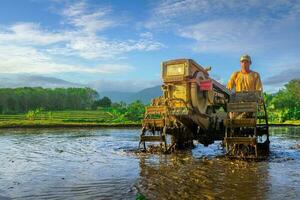 hermosa vista de la mañana indonesia panorama paisaje arrozales con color de belleza y luz natural del cielo foto