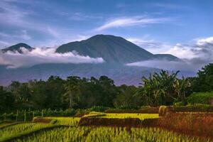 hermosa vista de la mañana indonesia panorama paisaje arrozales con color de belleza y luz natural del cielo foto