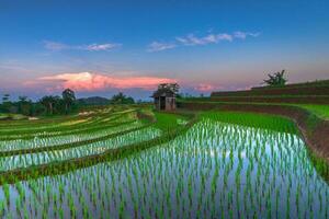 hermosa vista de la mañana indonesia panorama paisaje arrozales con color de belleza y luz natural del cielo foto