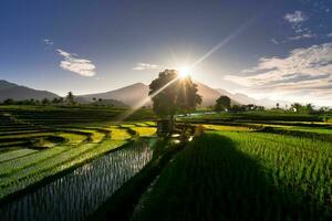 Beautiful morning view indonesia Panorama Landscape paddy fields with beauty color and sky natural light photo