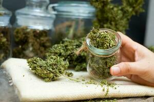 Female hand holding a transparent glass bottle with marijuana flowers inside photo