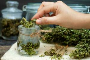 Female hand holding a marijuana flower in a glass jar photo