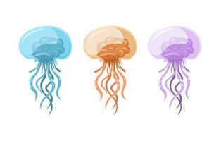 Jellyfish Animal Species Collection Set Cartoon illustration Vector