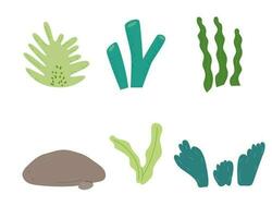 Algae colorful clipart set in cartoon flat style and rock. Vector stock illustration of seaweed isolated on white background