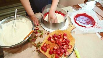 Nahansicht oben Aussicht von ein Hausfrau Putten Hälften von frisch reif organisch Erdbeeren auf das oben von Mousse Kuchen, Süss Sommer- Französisch Dessert fraisier - - ein Erdbeere Kuchen mit Keks, Mousse und Gelee. video