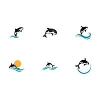 orca whale logo vector