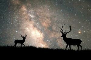 hermosa ciervo a noche, el lechoso camino y el estrellas son hermosa. foto