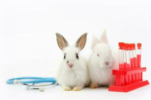 white bunny on white background with medical equipment stethoscope and experimental tubes, concept of rabbit experimental,rabbit sick, rabbit health care etc photo