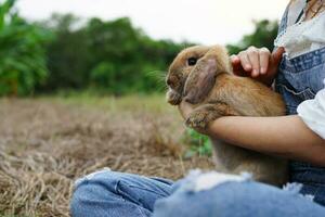 woman holding a brown adorable rabbit on her lap in the garden, pet rabbits concept photo