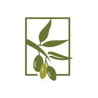 Olive Logo Design, Olive Oil Tree Vector, Simple Illustration Template vector