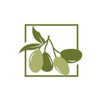 Olive Logo Design, Olive Oil Tree Vector, Simple Illustration Template vector