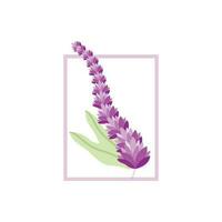 Lavender Logo, Purple Plant Vector, Garden Design, Illustration Symbol Template vector