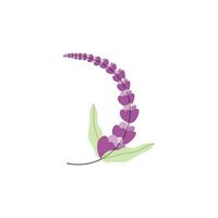 Lavender Logo, Purple Plant Vector, Garden Design, Illustration Symbol Template vector