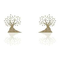 Tree Logo Design, Playground Vector, Education Tree Icon vector