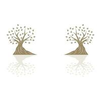 Tree Logo Design, Playground Vector, Education Tree Icon vector