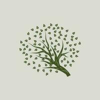 Tree Logo Design, Playground Vector, Education Tree Icon vector