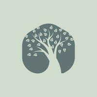 Tree Logo Design, Playground Vector, Education Tree Icon vector