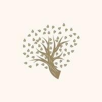 Tree Logo Design, Playground Vector, Education Tree Icon vector