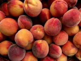 Sweet ripe peaches background. Garden fruits Close up, top view photo