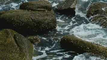 magnifique vagues sur une rocheux plage video