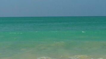 belle vague sur la plage, eau claire, sable jaune à la mer d'andaman phuket en thaïlande. video