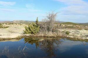 lake mountain and tree in king midas mountain photo