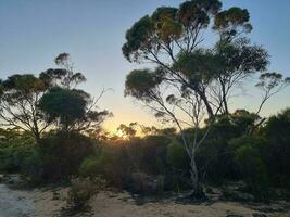 kiata terreno de camping, pequeño desierto, Australia foto