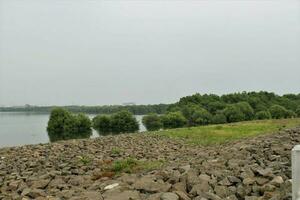 view of the coast of jakarta with mangrove trees photo