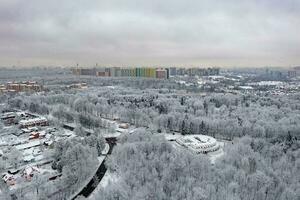 kurkino naturaleza parque - Moscú, Rusia foto