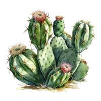 Watercolor illustration of a cactus. Houseplant, desert, succulent. For creating posters, stickers, postcards, prints, sublimations. AI generated photo