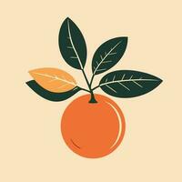 Vector illustration of Oranges and flowers Vintage style