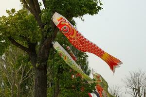 koinobori es el simbólico bandera de para niños día en japonés es llamado kodomo No Hola. cada año caídas en mayo 5to. durante el festival, todas lugares a través de Japón Decorar koinobori banderas foto