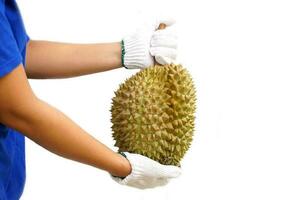 hand holding durian fruit on white background. Durian is known as the king of fruits with a unique aroma. The skin is hard with thorns, the flesh is yellow and has a sweet, oily. photo